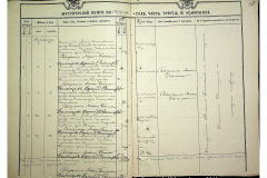 0484-001-2311-118