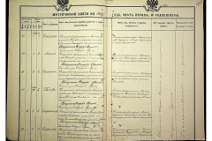 0484-001-2311-196