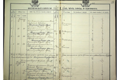 0484-001-2311-229