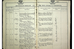 0484-001-2313-006