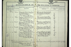 0484-001-2313-010