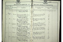 0484-001-2313-020
