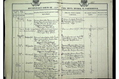 0484-001-2313-024