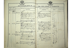 0484-001-2316-164