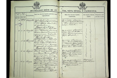 0484-001-2319-176