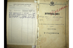 0484-001-2321-002