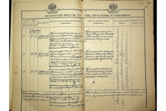 0484-001-2321-069
