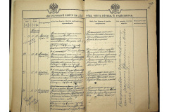 0484-001-2321-071