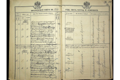 0484-001-2321-169
