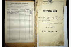 0484-001-2223-002