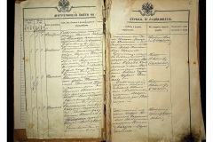 0484-001-2223-003