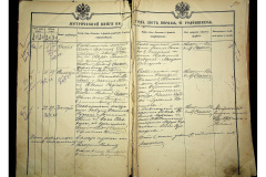 0484-001-2223-006