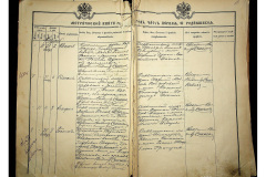 0484-001-2223-007