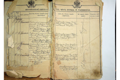 0484-001-2225-003