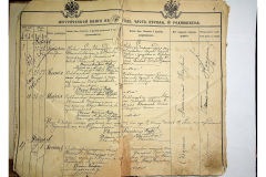 0484-001-2225-004