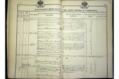 0484-001-2328-029