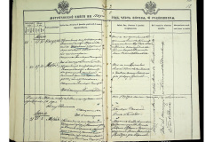 0484-001-2329-013