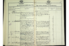 0484-001-2329-019