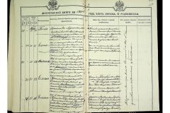 0484-001-2329-020