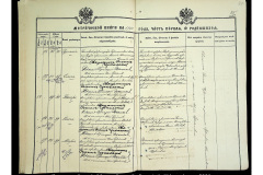 0484-001-2330-241