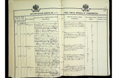 0484-001-2330-250