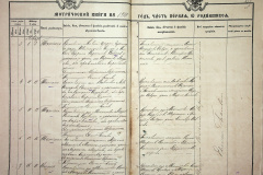 241