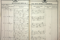 241