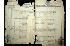 0484-001-2234-003