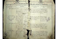 0484-001-2234-004