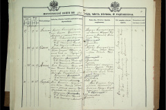 0484-001-2235-019