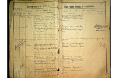 0484-001-2239-005