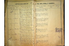 0484-001-2239-010