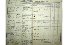 0484-001-2358-196