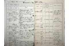 0484-001-2366-003