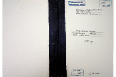 0484-001-2387-001