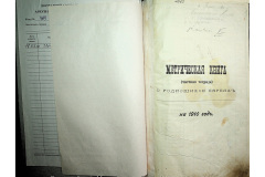 0484-001-2389-002