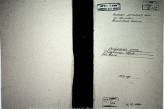 0484-001-2393-001