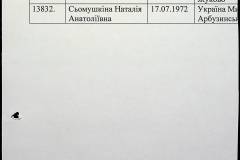 241