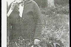 241