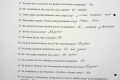 241