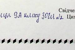 241