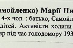 241