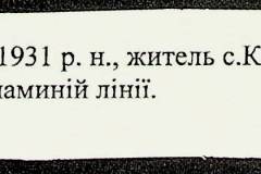 241