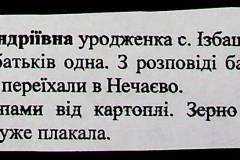 241