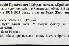 241