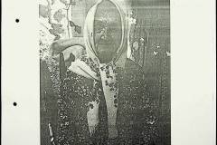 241