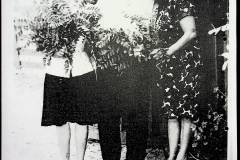 241