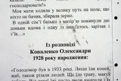 241