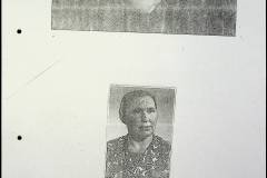 241