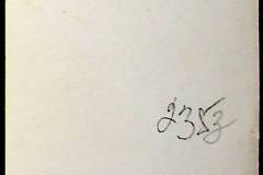 241